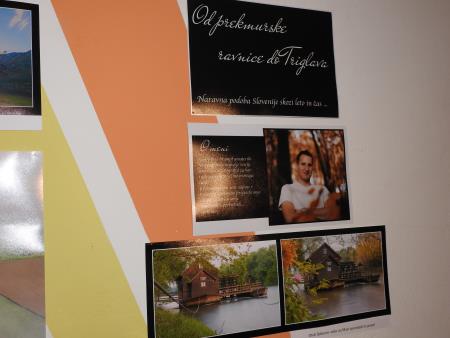 Osrednja občinska slovesnost ob počastitvi slovenskega kulturnega praznika, 7.2.2017 25